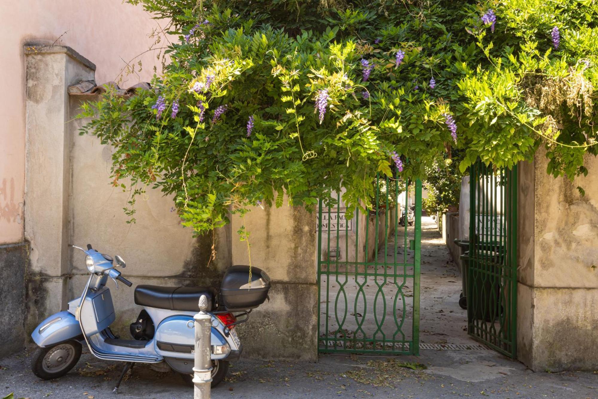 Maison Rosetta Sant'Agnello Dış mekan fotoğraf