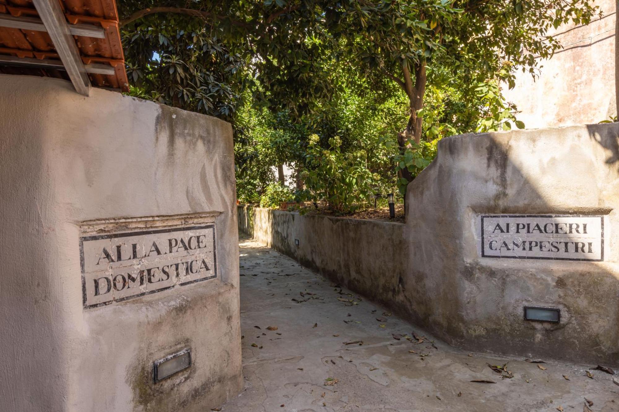 Maison Rosetta Sant'Agnello Dış mekan fotoğraf